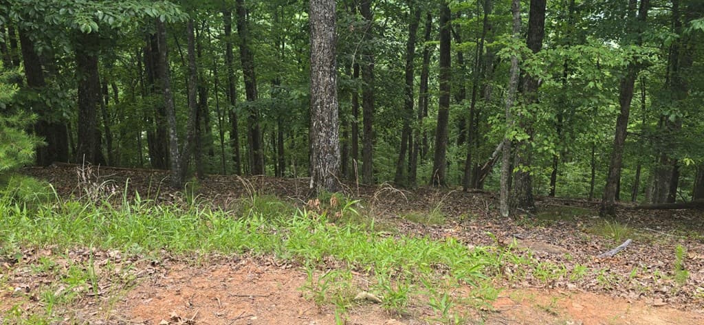 Lot 7 Scouts Overlook, Morganton GA 30560 - Photo