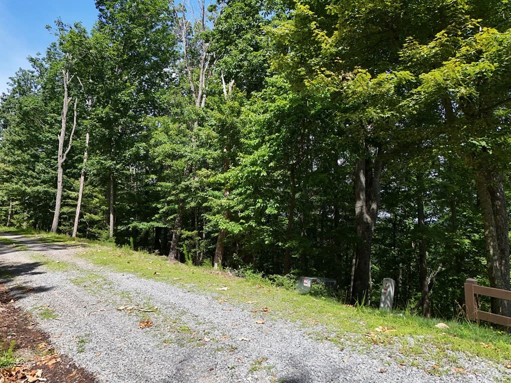 Lot 7 Scouts Overlook, Morganton GA 30560 - Photo