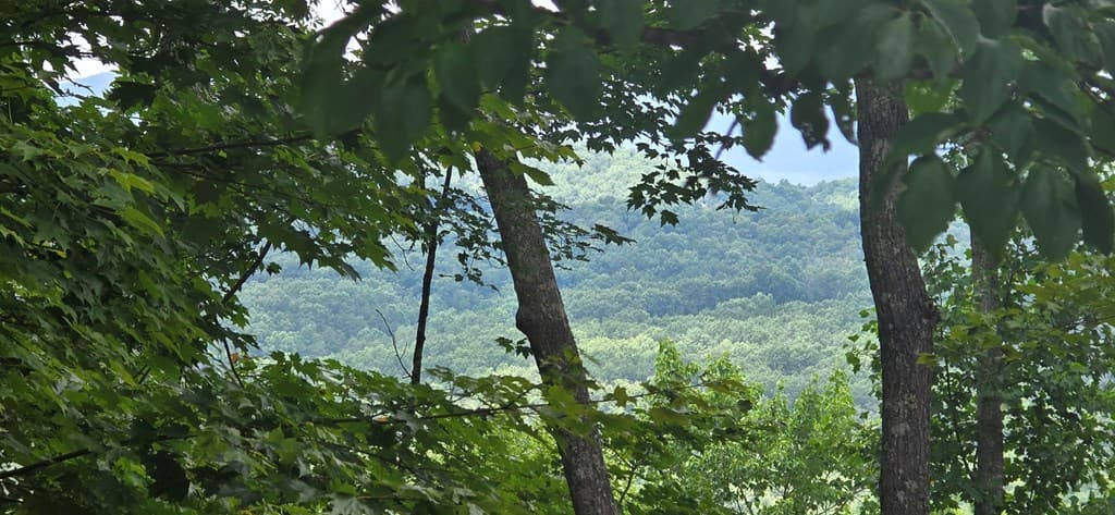 Lot 7 Scouts Overlook, Morganton GA 30560 - Photo