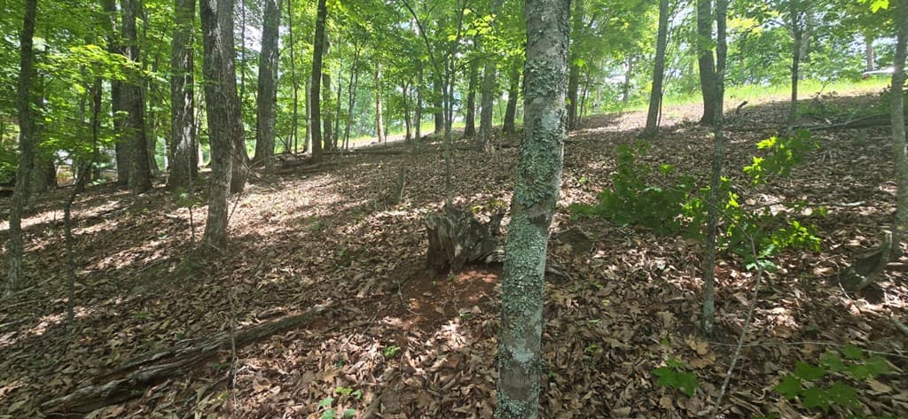 Lot 7 Scouts Overlook, Morganton GA 30560 - Photo