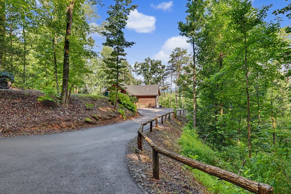 240 Pink Pig Lane, Cherry Log GA 30522 - Photo