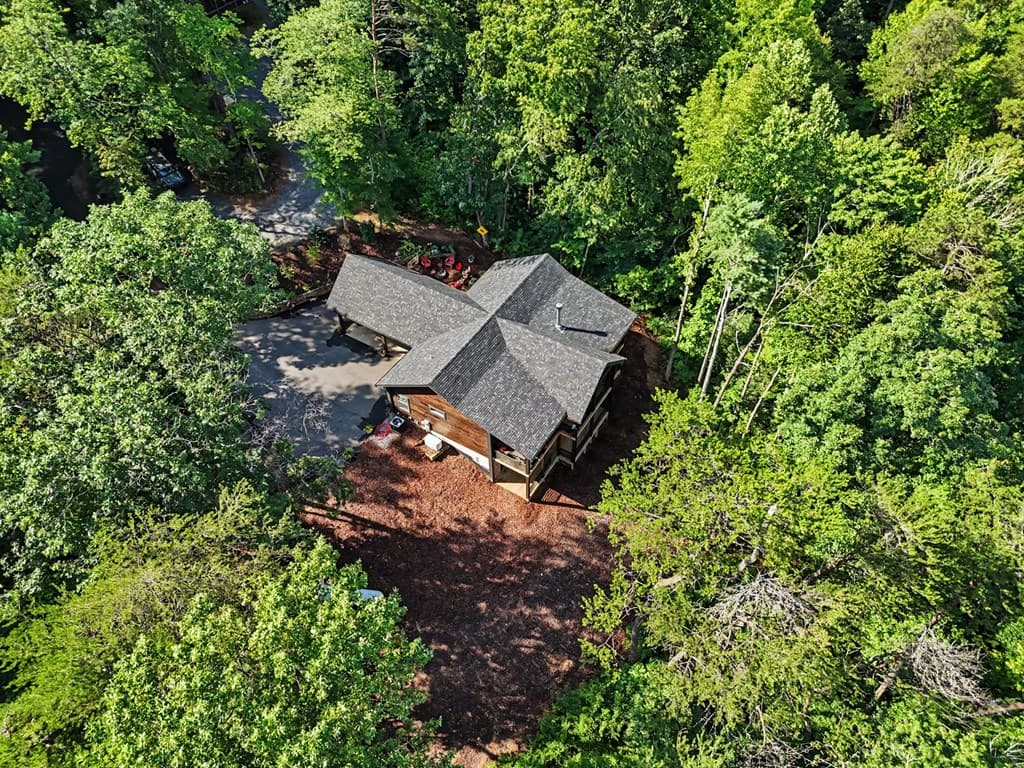 240 Pink Pig Lane, Cherry Log GA 30522 - Photo