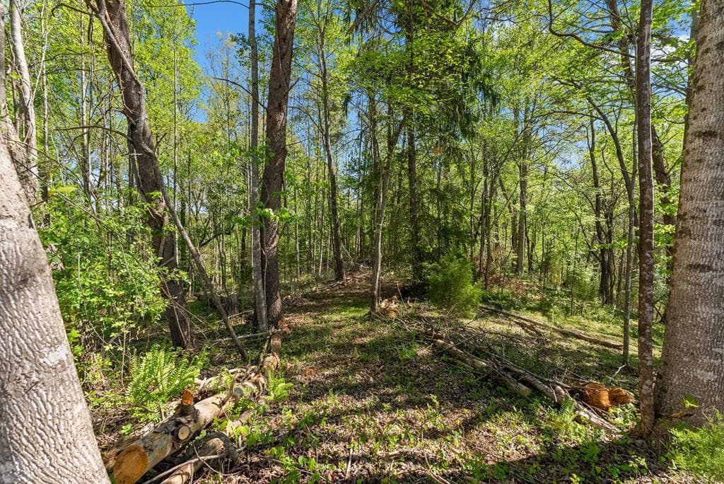 153 Trackrock Gap Road, Blairsville GA 30512 - Photo