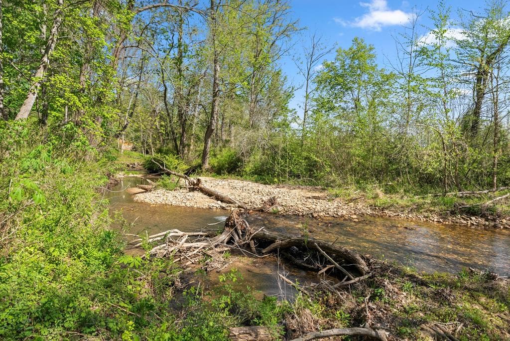 153 Trackrock Gap Road, Blairsville GA 30512 - Photo