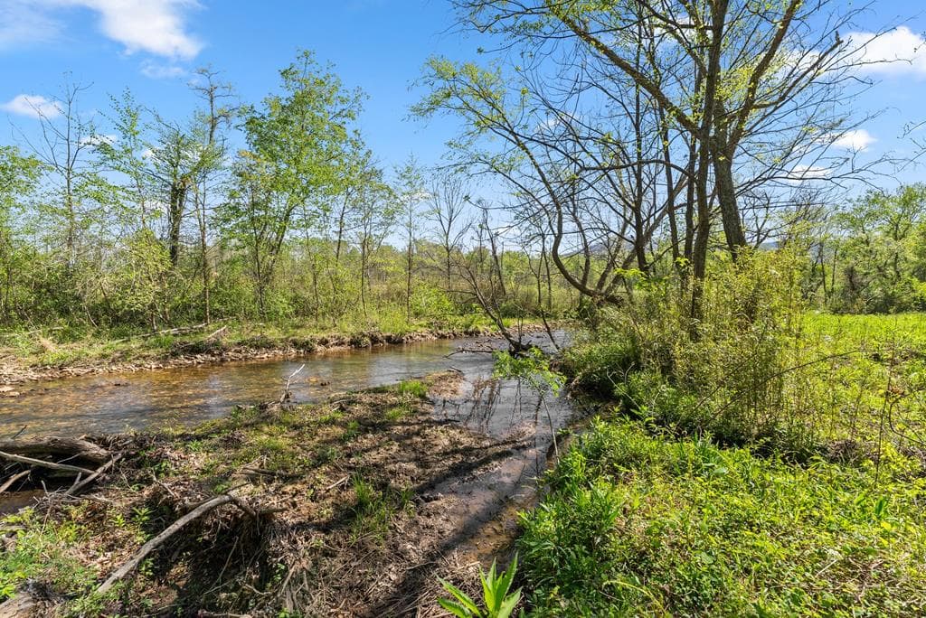 153 Trackrock Gap Road, Blairsville GA 30512 - Photo