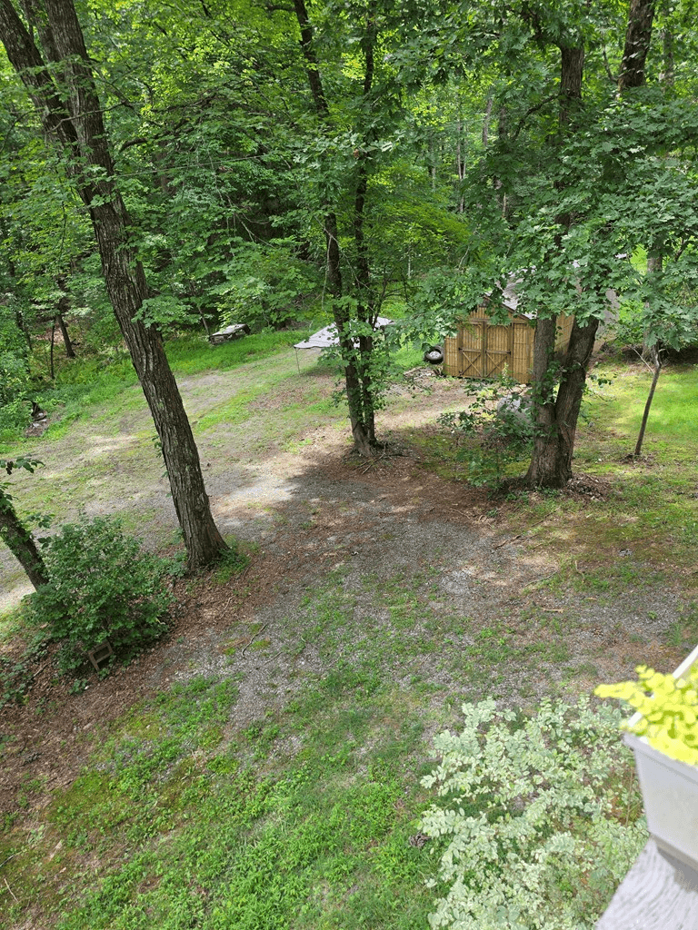 49 Deer Trail, Mineral Bluff GA 30559 - Photo