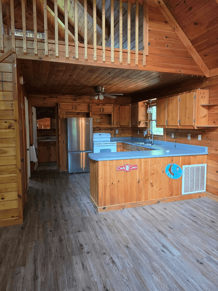 49 Deer Trail, Mineral Bluff GA 30559 - Photo