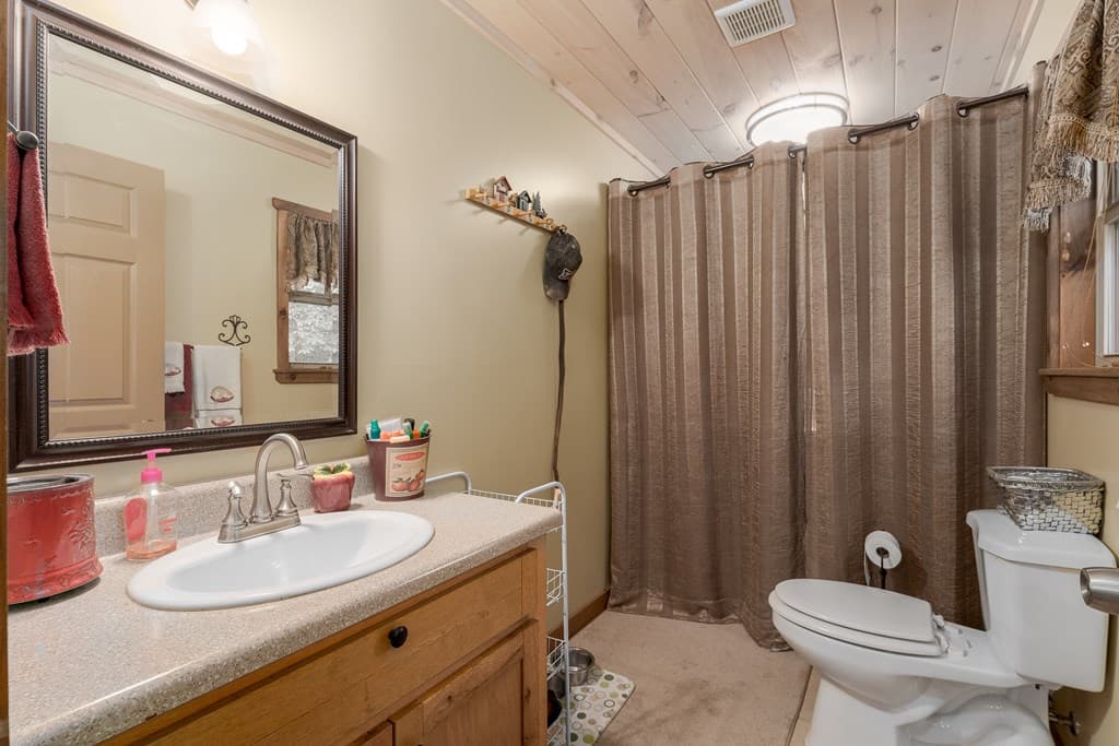 337 Branch Creek Road, Blue Ridge GA 30513 - Photo