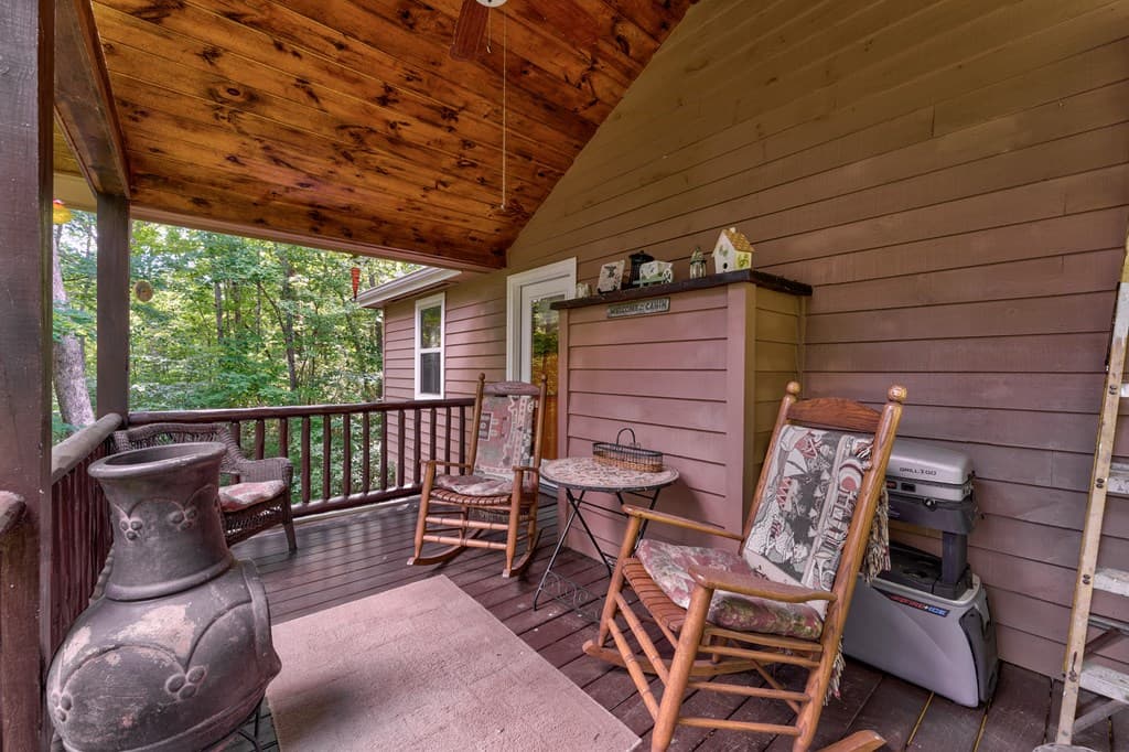 337 Branch Creek Road, Blue Ridge GA 30513 - Photo