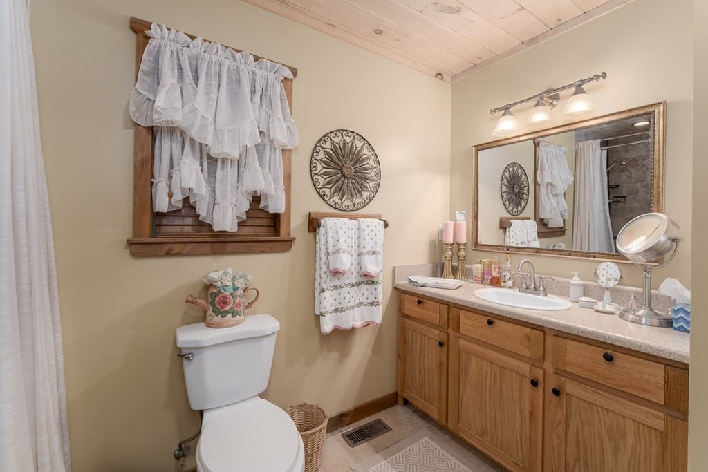 337 Branch Creek Road, Blue Ridge GA 30513 - Photo