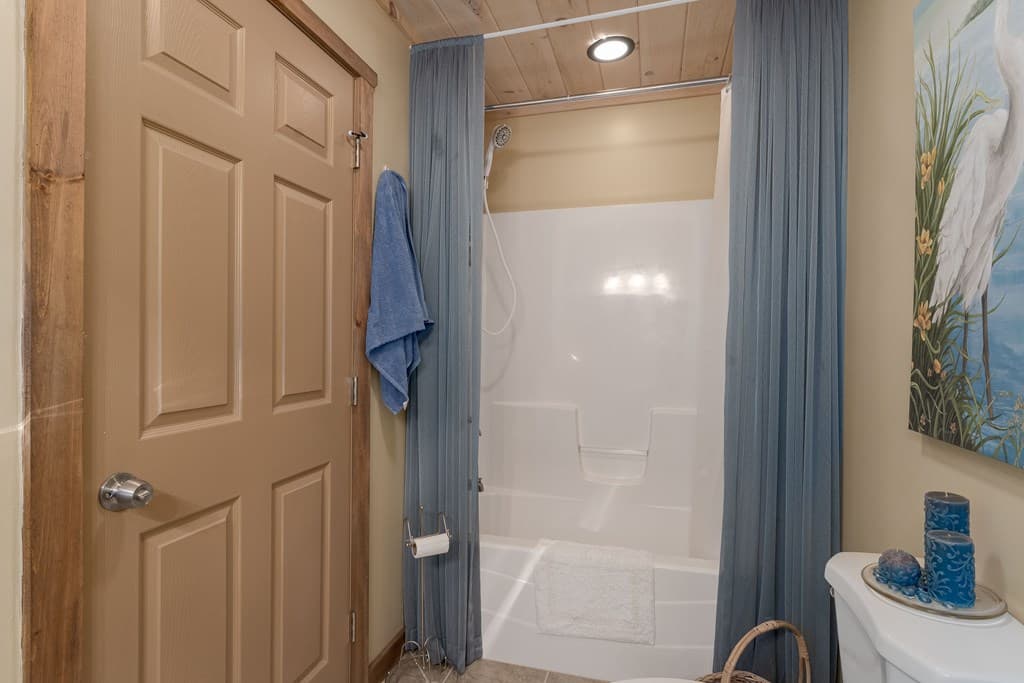 337 Branch Creek Road, Blue Ridge GA 30513 - Photo