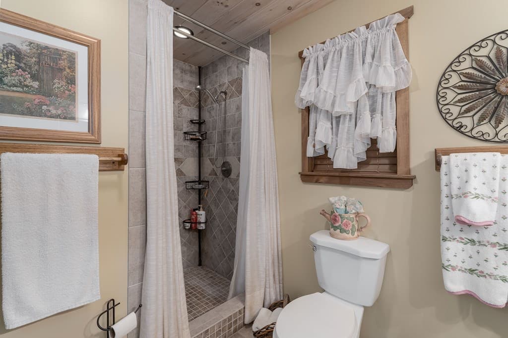 337 Branch Creek Road, Blue Ridge GA 30513 - Photo