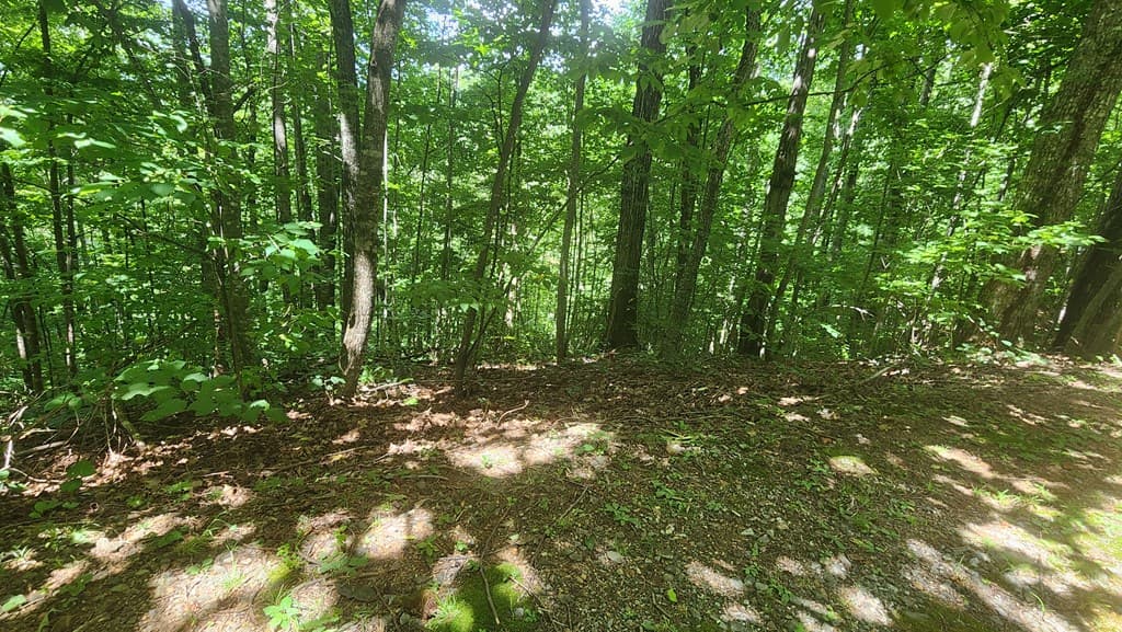 lot 15 Roaring Ridge Trail, Hiawassee GA 30546 - Photo
