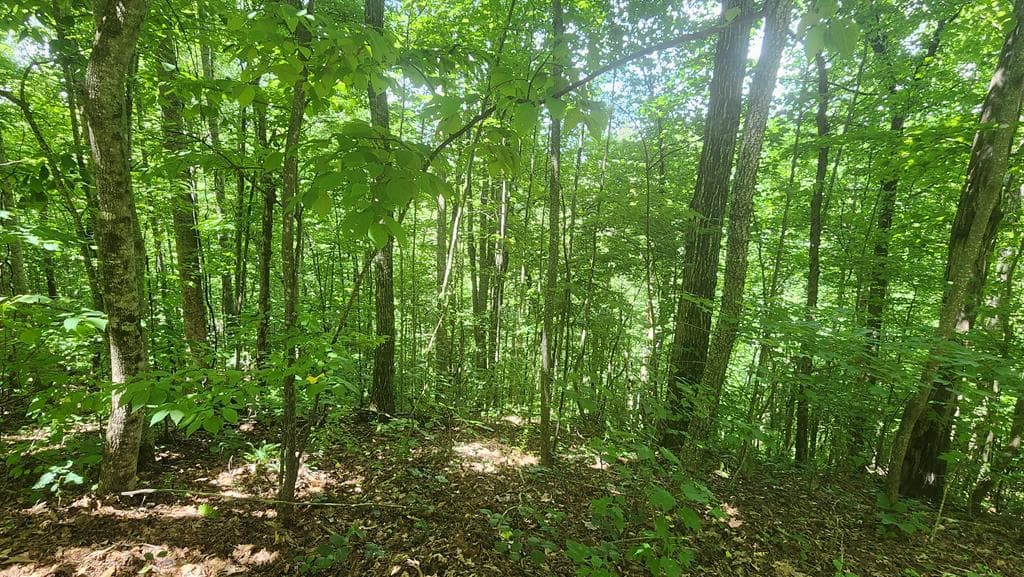 lot 15 Roaring Ridge Trail, Hiawassee GA 30546 - Primary photo