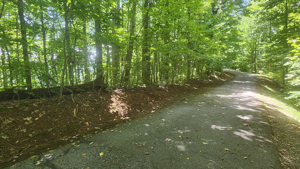 lot 15 Roaring Ridge Trail, Hiawassee GA 30546 - Photo