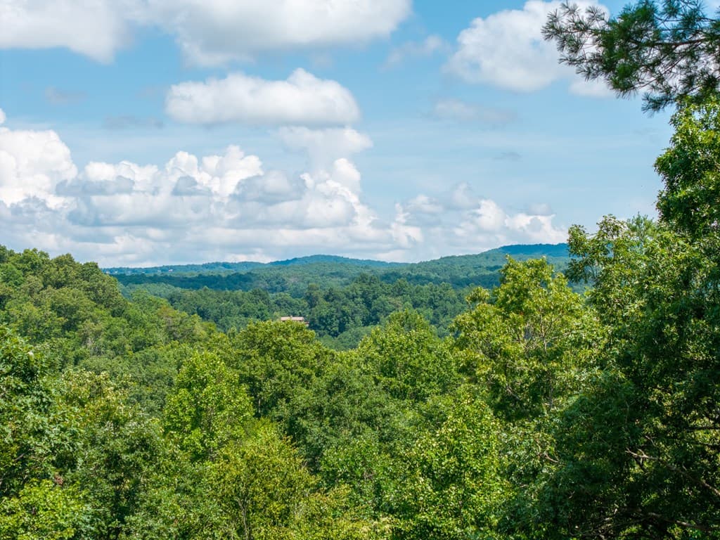 66 Briar Creek Court, Morganton GA 30560 - Photo