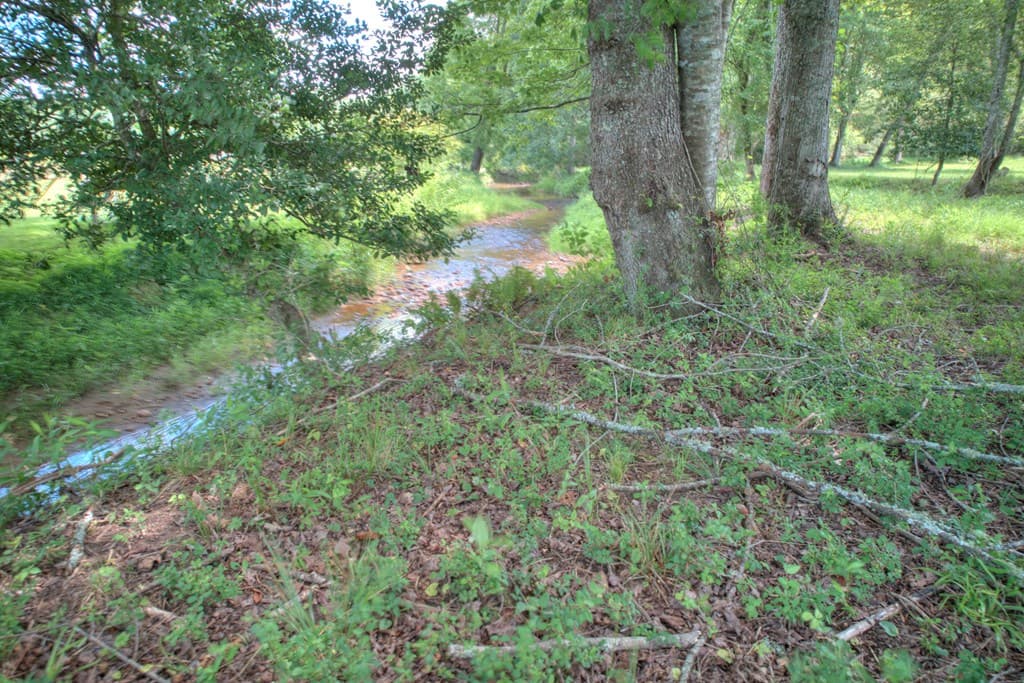 Tract A Murphy Hwy/129n, Blairsville GA 30512 - Photo