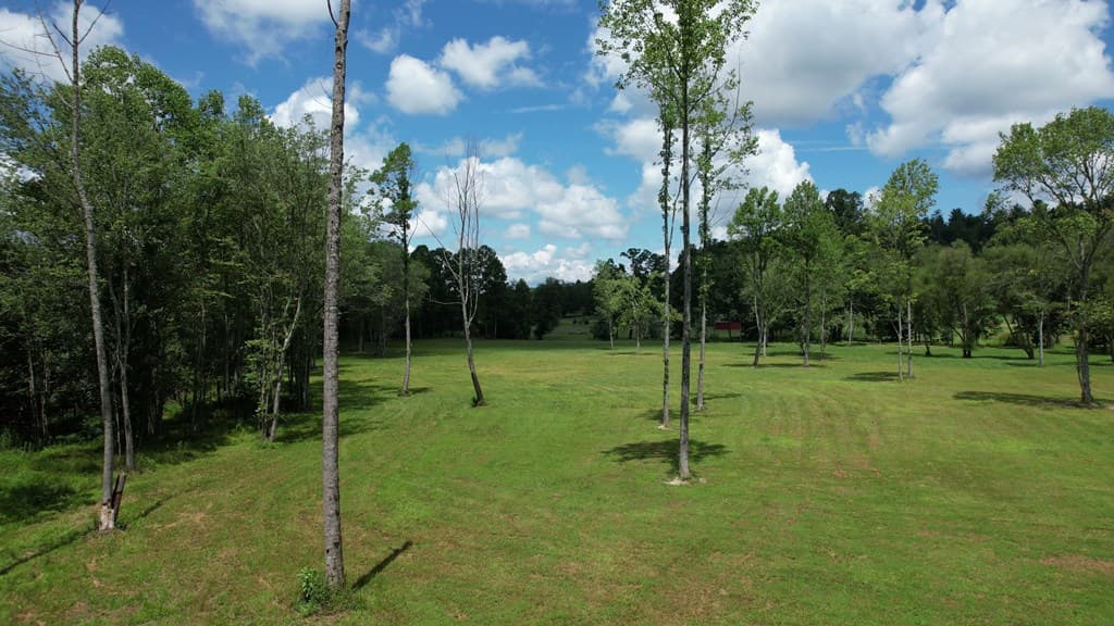 Tract A Murphy Hwy/129n, Blairsville GA 30512 - Photo