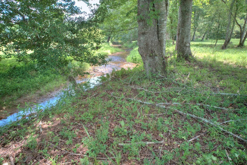 Tract A Murphy Hwy/129n, Blairsville GA 30512 - Photo