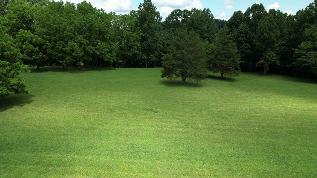 Tract A Murphy Hwy/129n, Blairsville GA 30512 - Photo