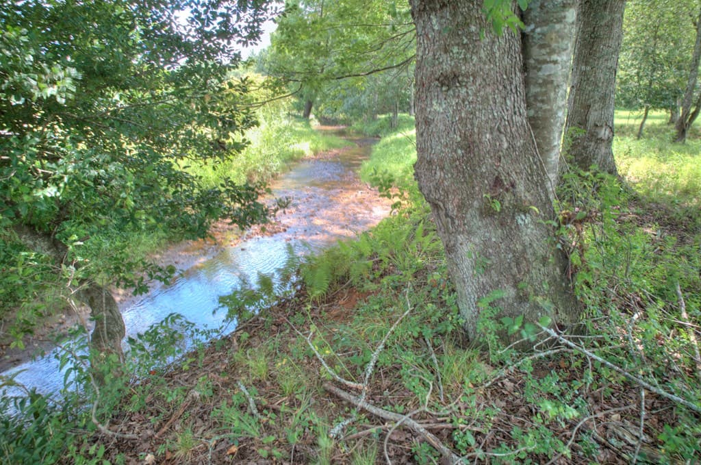 Tract A Murphy Hwy/129n, Blairsville GA 30512 - Photo