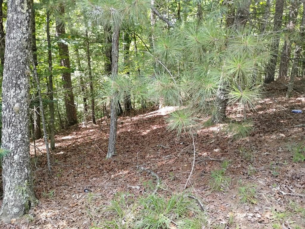 0 Crystal Lane, Ellijay GA 30540 - Photo