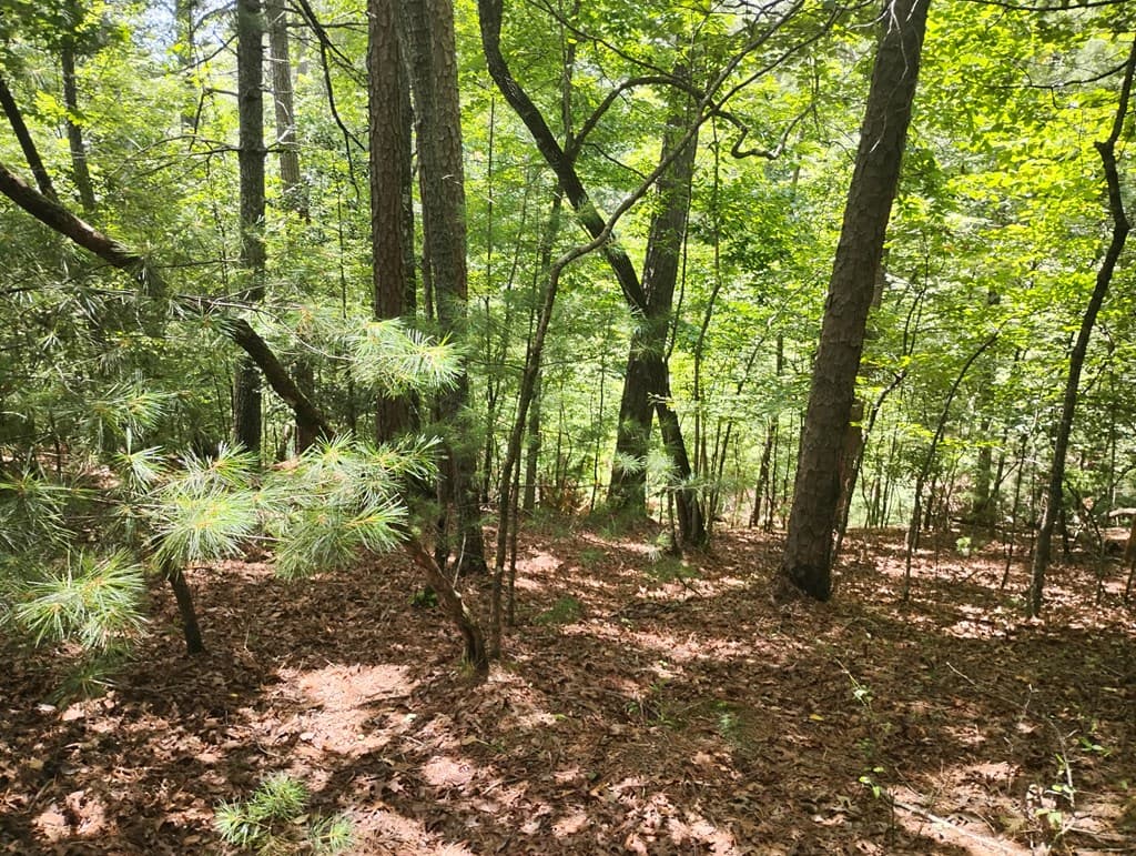 0 Crystal Lane, Ellijay GA 30540 - Photo