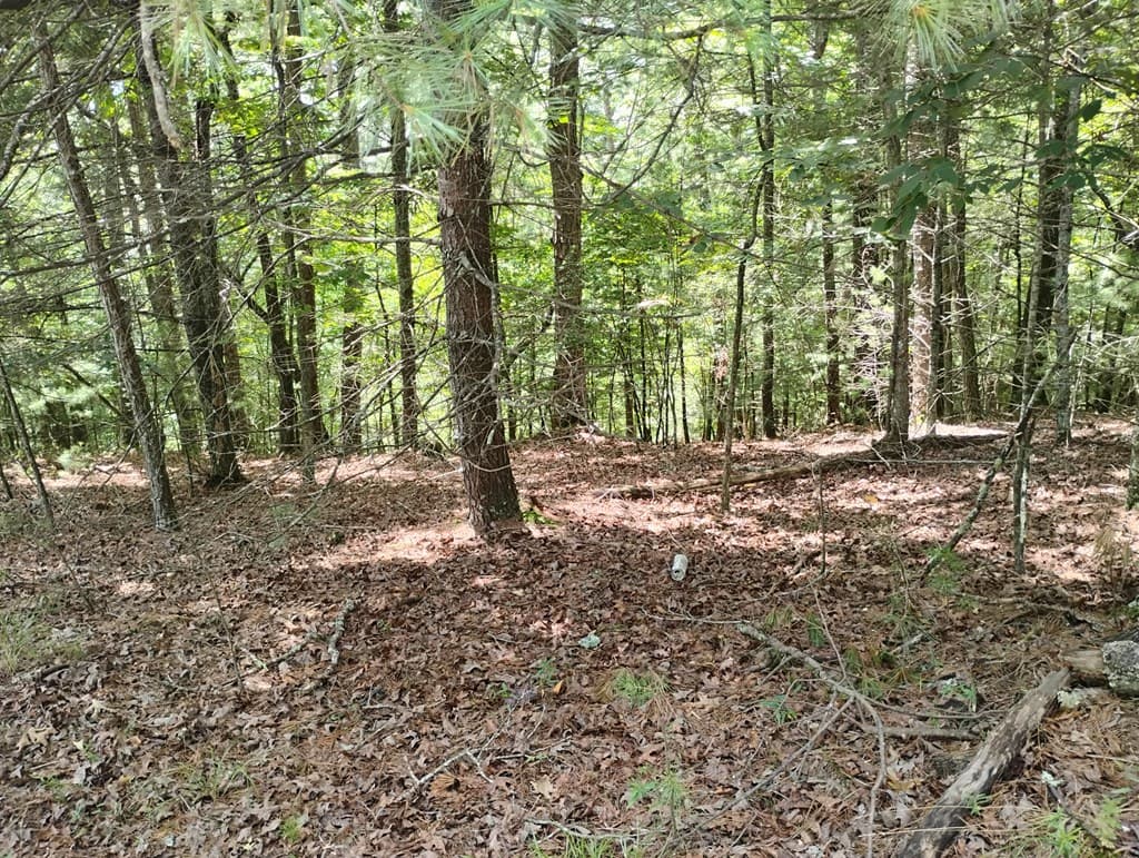 0 Crystal Lane, Ellijay GA 30540 - Photo