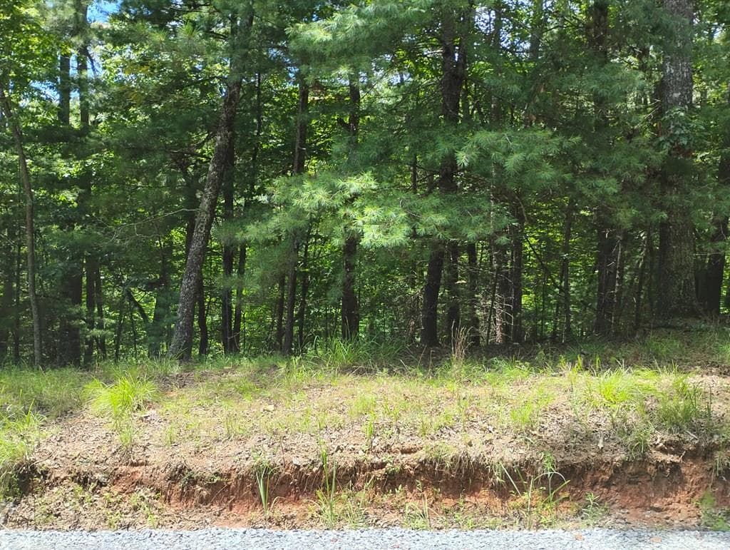0 Crystal Lane, Ellijay GA 30540 - Primary photo