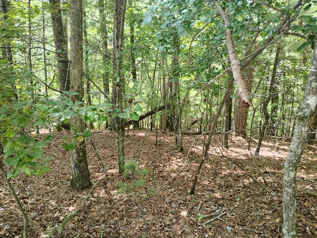 0 Crystal Lane, Ellijay GA 30540 - Photo