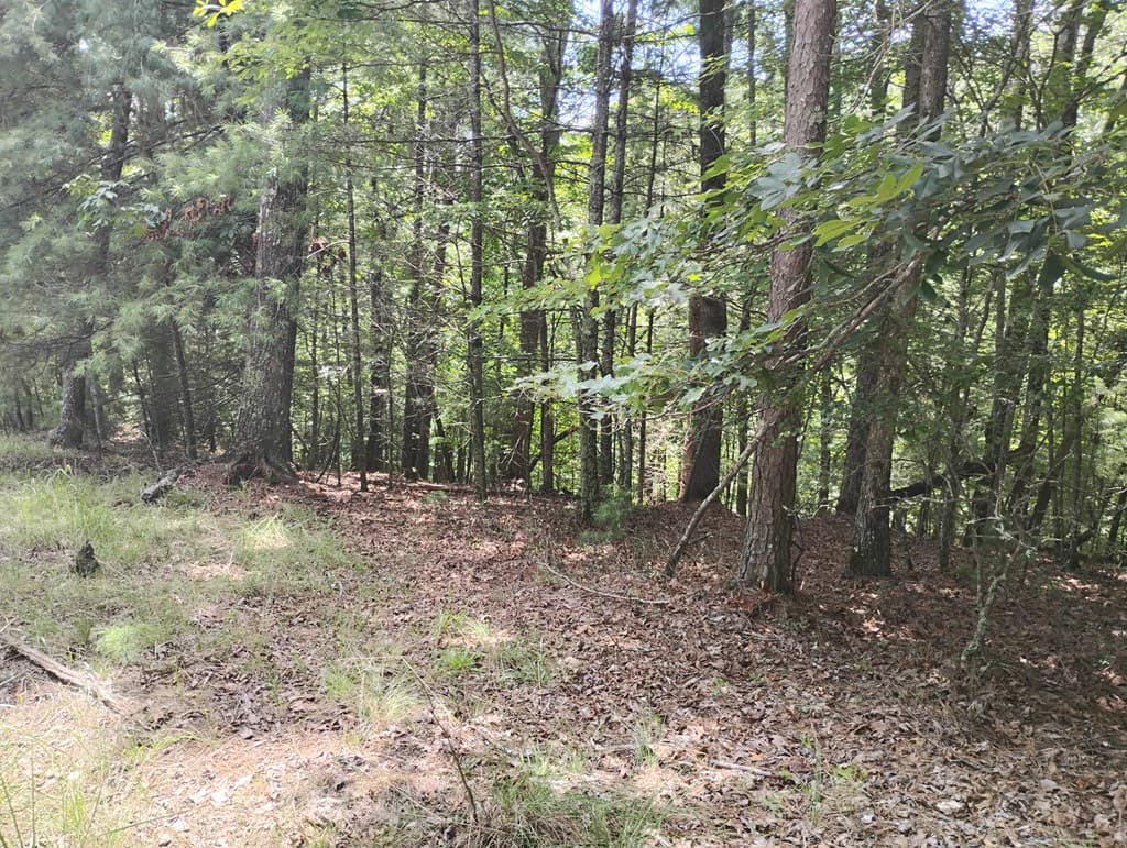 0 Crystal Lane, Ellijay GA 30540 - Photo