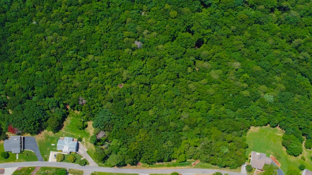 34/36 Talona Mountain Road, Ellijay GA 30536 - Photo