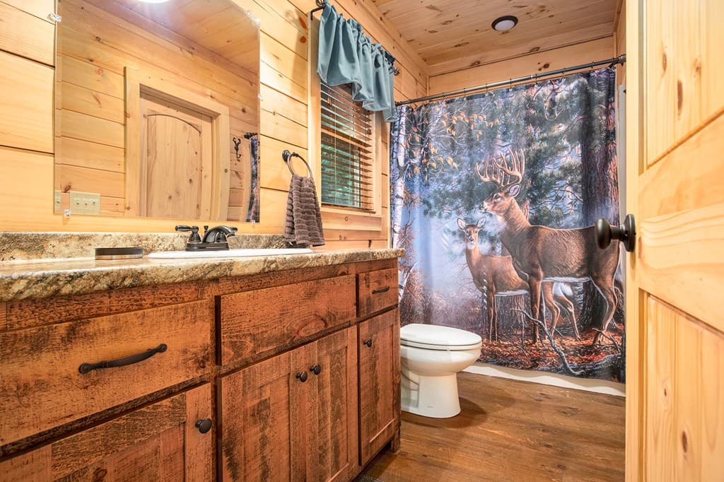 680 Hidden Lakes Drive, Cherry Log GA 30522 - Photo