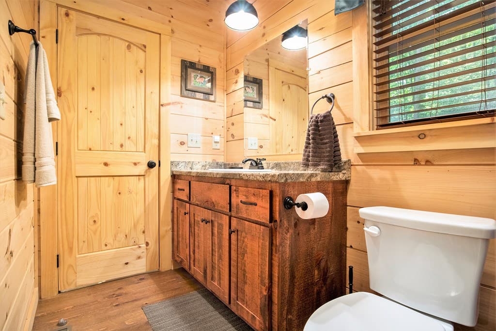 680 Hidden Lakes Drive, Cherry Log GA 30522 - Photo