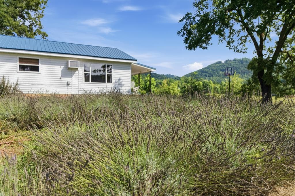 6 Ledford Chapel Road, Hayesville NC 28904 - Photo
