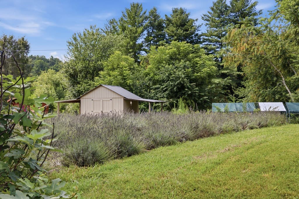 6 Ledford Chapel Road, Hayesville NC 28904 - Photo