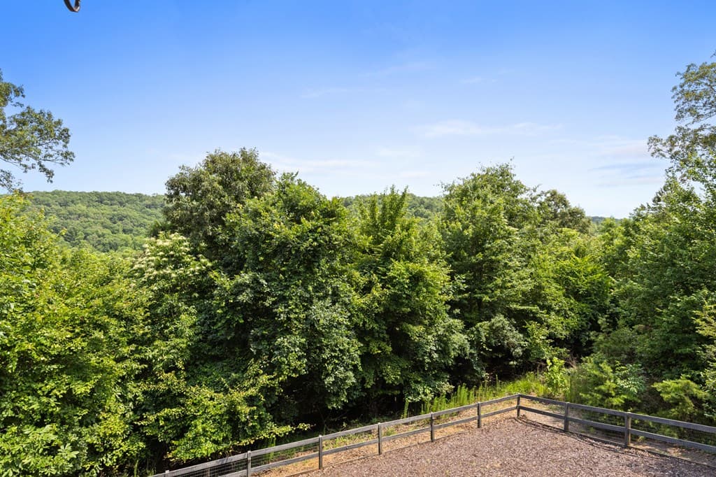98 Shalom Lane, Blue Ridge GA 30513 - Photo