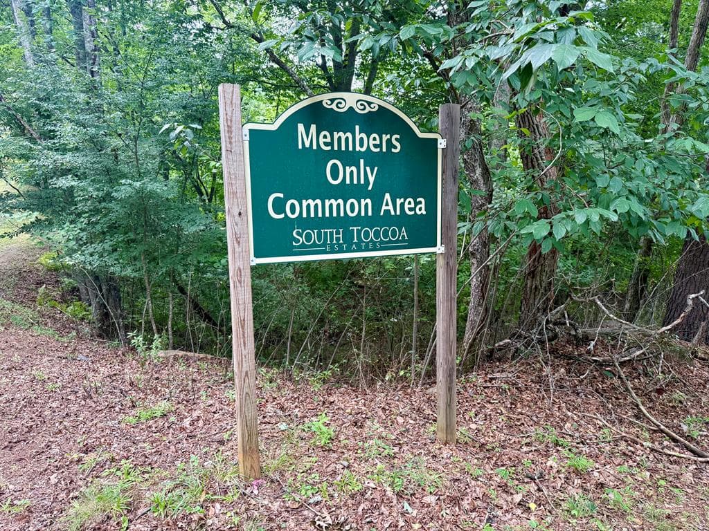 98 Shalom Lane, Blue Ridge GA 30513 - Photo
