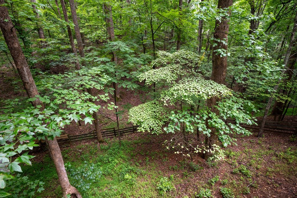 415 Sunset Court, Jasper GA 30143 - Photo