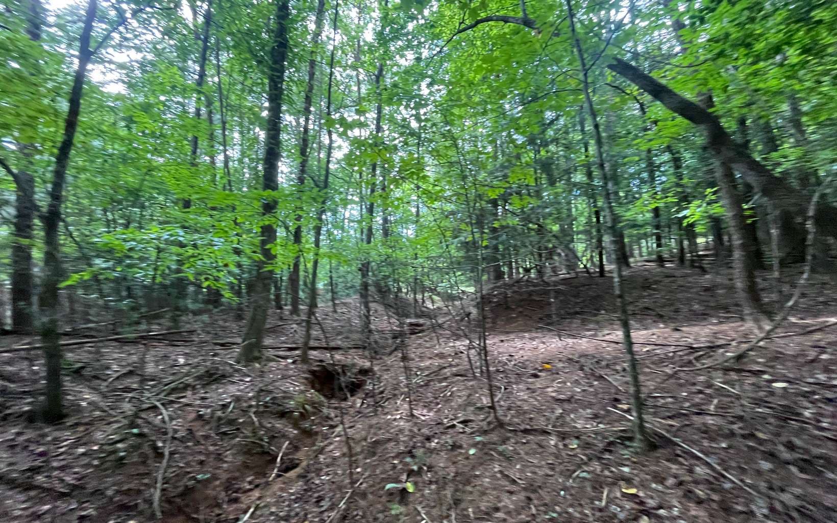 LT 88 Shenandoah Drive, Ellijay GA 30540 - Photo