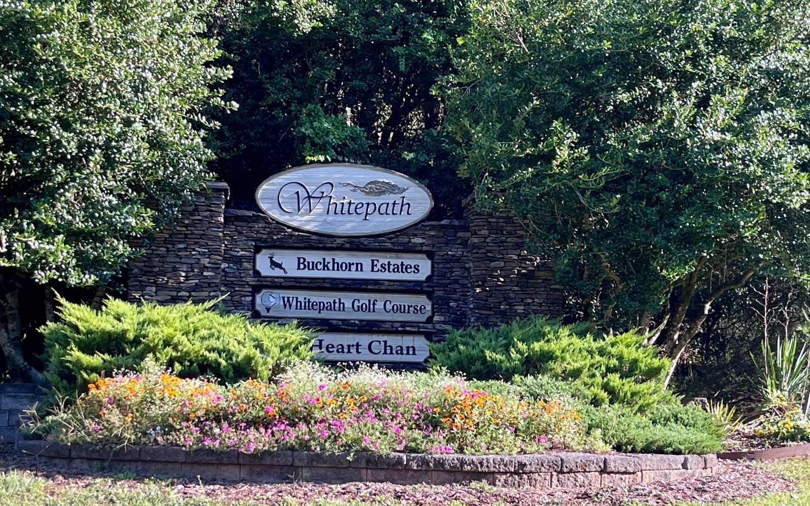 LT 88 Shenandoah Drive, Ellijay GA 30540 - Photo