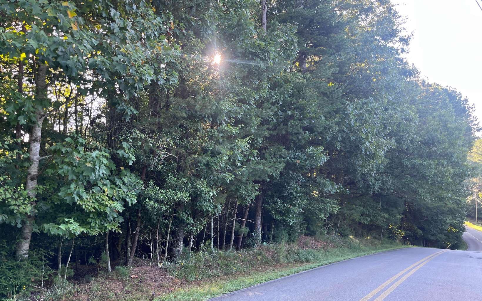 LT 88 Shenandoah Drive, Ellijay GA 30540 - Photo