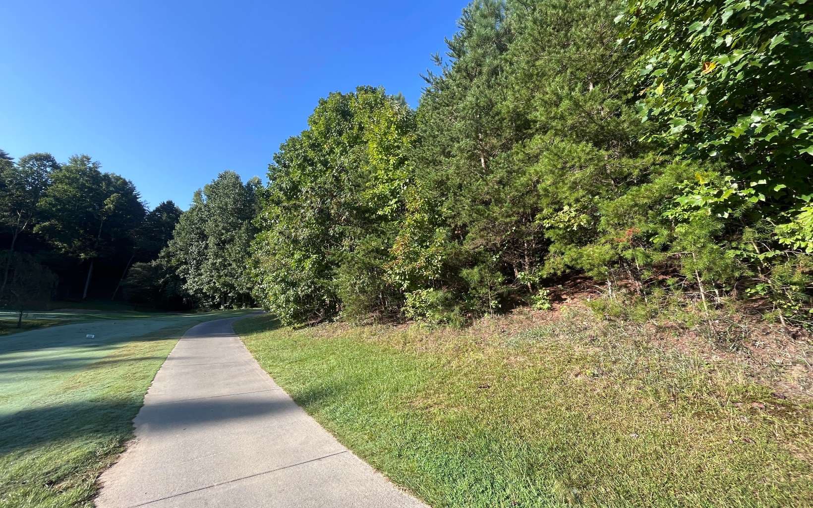 LT 88 Shenandoah Drive, Ellijay GA 30540 - Photo