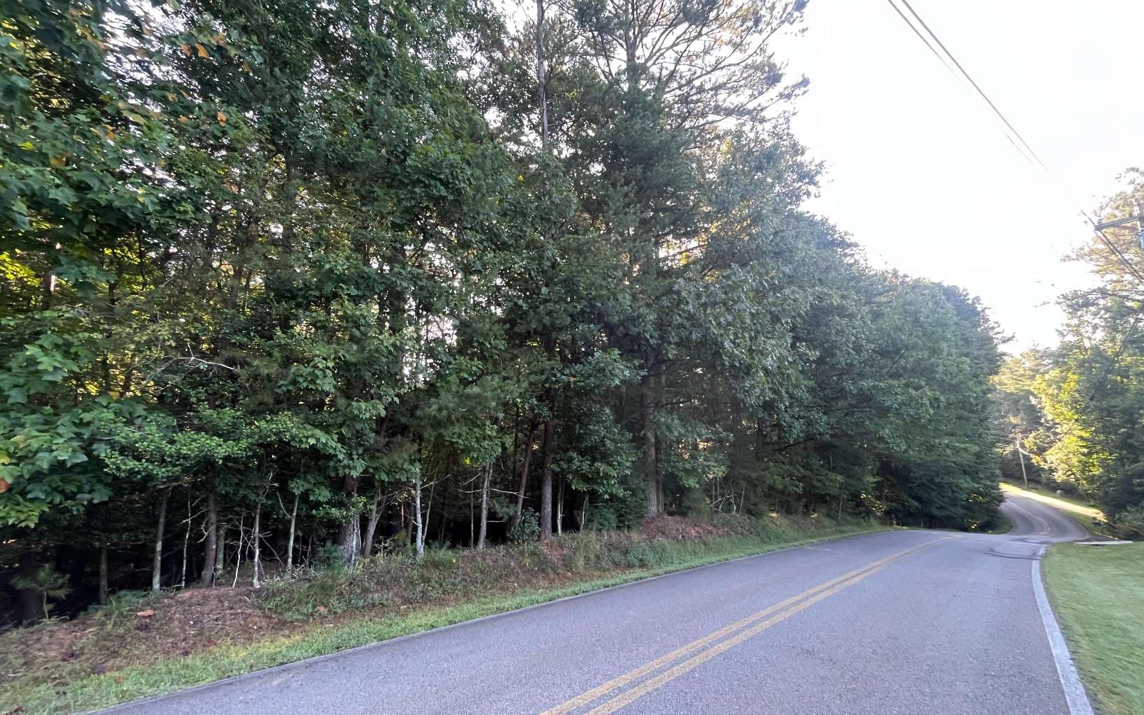 LT 88 Shenandoah Drive, Ellijay GA 30540 - Photo