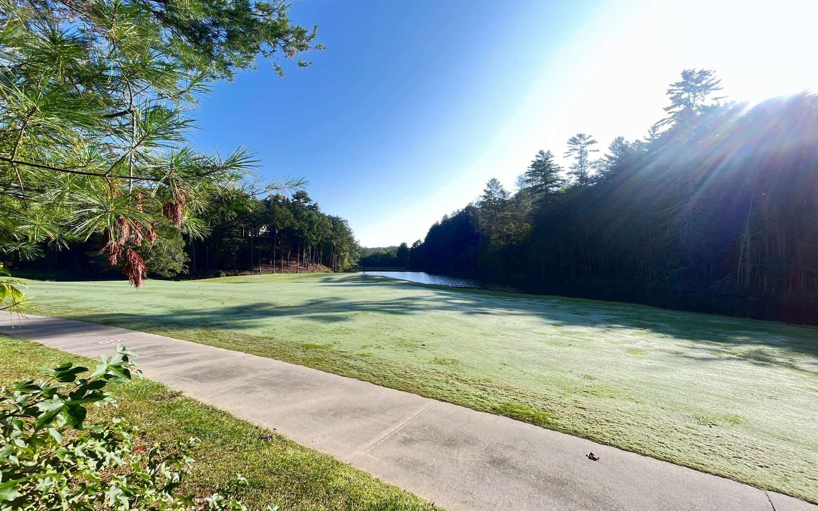 LT 88 Shenandoah Drive, Ellijay GA 30540 - Photo