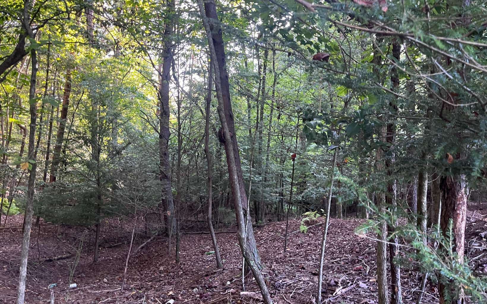LT 88 Shenandoah Drive, Ellijay GA 30540 - Photo