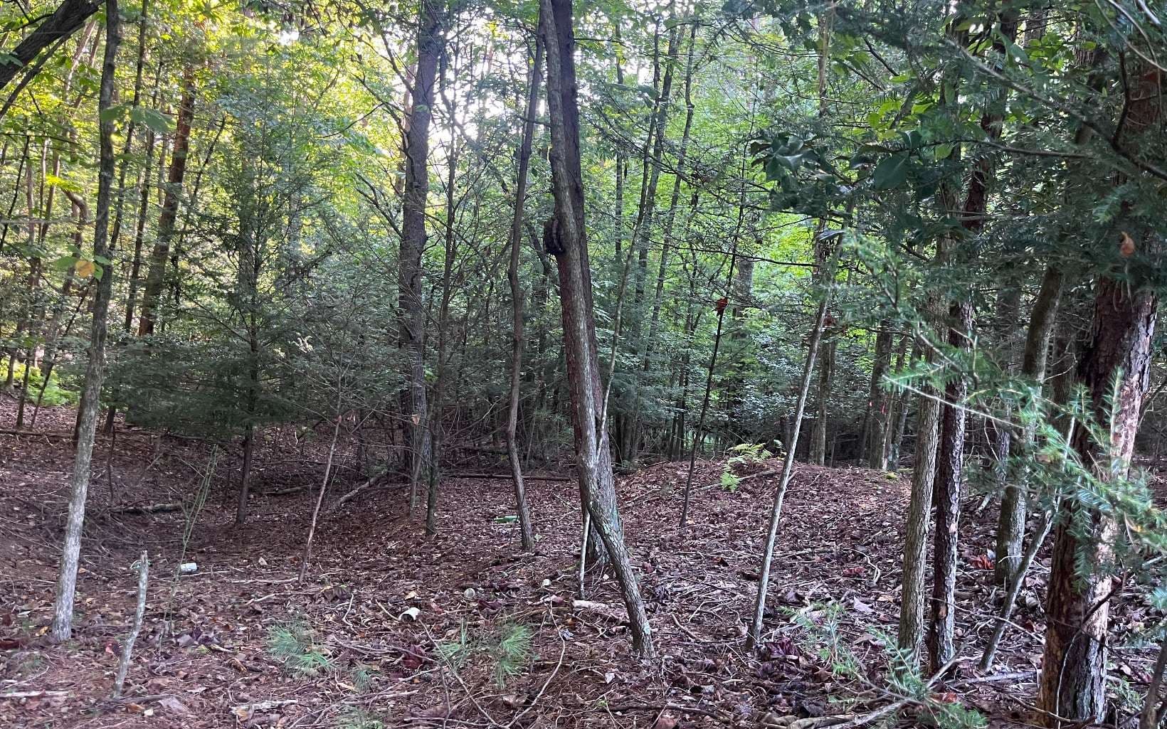 LT 88 Shenandoah Drive, Ellijay GA 30540 - Photo