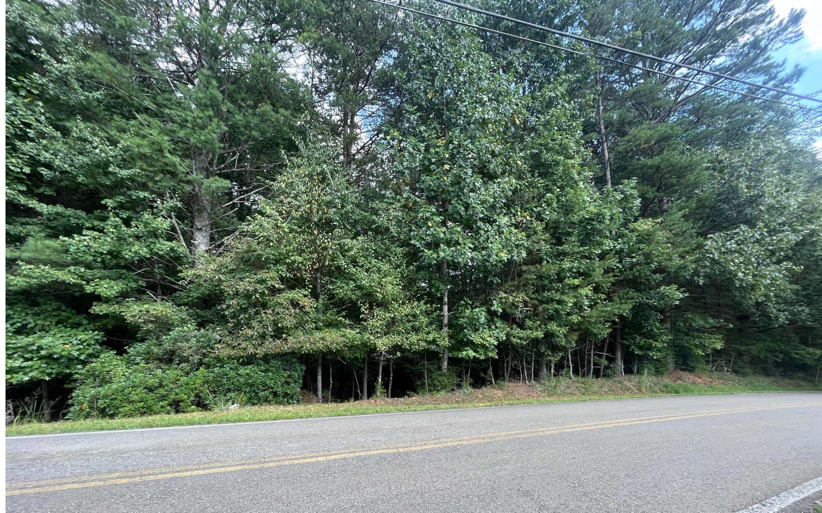 LT 88 Shenandoah Drive, Ellijay GA 30540 - Photo