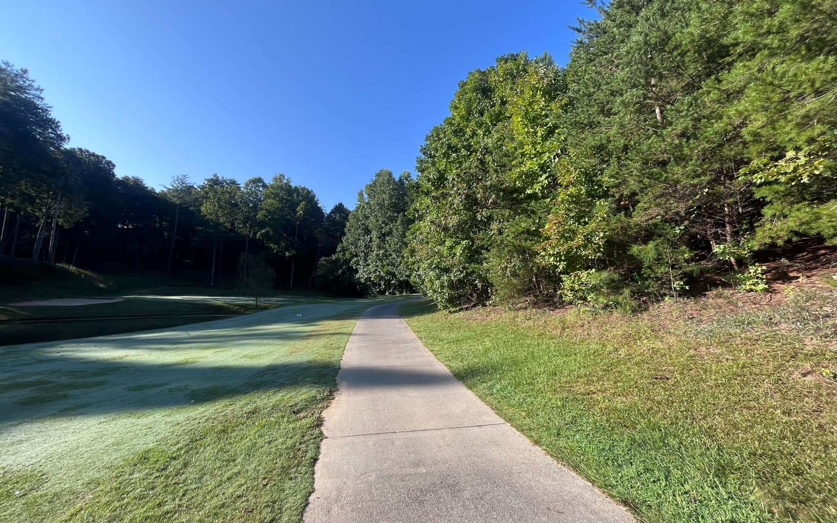 LT 88 Shenandoah Drive, Ellijay GA 30540 - Photo