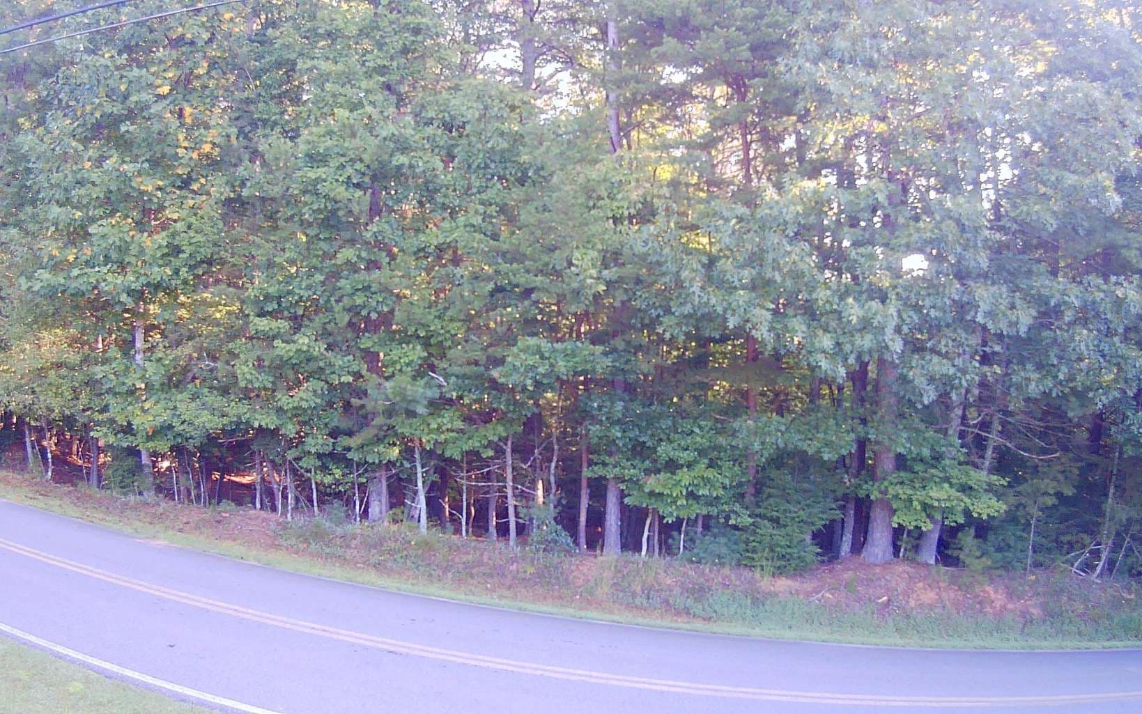 LT 88 Shenandoah Drive, Ellijay GA 30540 - Photo